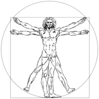 Liceo Da Vinci Treviso e-learning