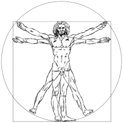 Liceo Da Vinci Treviso e-learning